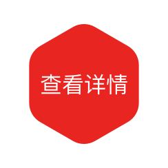汽车电子软件定制开发专家